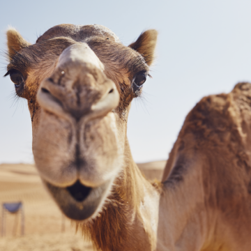 „Fairness-Offensive“: EVS passt Wasserpreise endlich an Gastronomie-Niveau an – Einheimische sollen Schnee nutzen