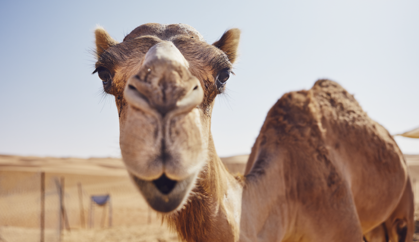 „Fairness-Offensive“: EVS passt Wasserpreise endlich an Gastronomie-Niveau an – Einheimische sollen Schnee nutzen