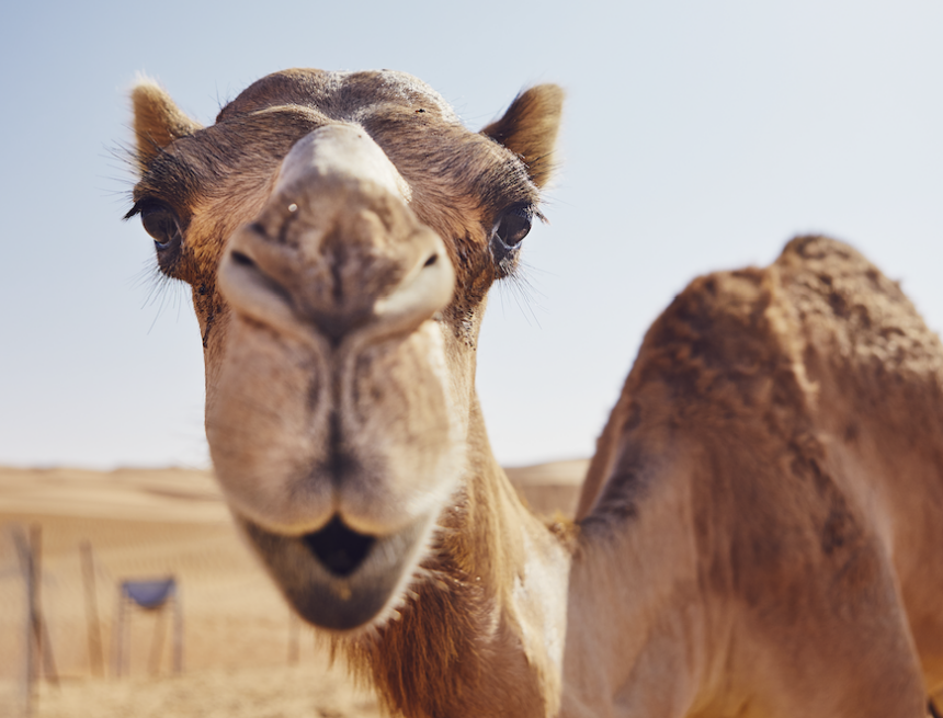 „Fairness-Offensive“: EVS passt Wasserpreise endlich an Gastronomie-Niveau an – Einheimische sollen Schnee nutzen „Fairness-Offensive“: EVS passt Wasserpreise endlich an Gastronomie-Niveau an – Einheimische sollen Schnee nutzen